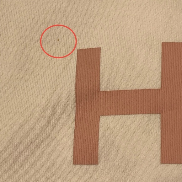 EVERLANE The 100% Human Typography Hoodie - Picture 6 of 9